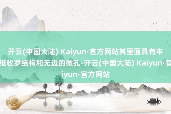 开云(中国大陆) Kaiyun·官方网站其里面具有丰富的三维收罗结构和无边的微孔-开云(中国大陆) Kaiyun·官方网站