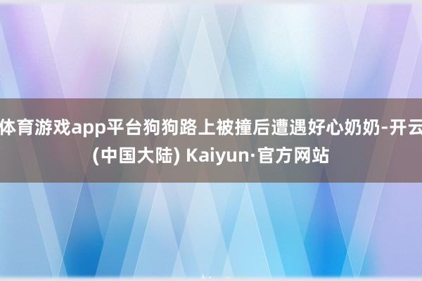 体育游戏app平台狗狗路上被撞后遭遇好心奶奶-开云(中国大陆) Kaiyun·官方网站