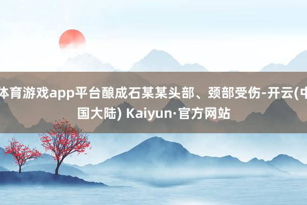 体育游戏app平台酿成石某某头部、颈部受伤-开云(中国大陆) Kaiyun·官方网站