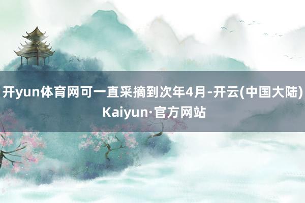 开yun体育网可一直采摘到次年4月-开云(中国大陆) Kaiyun·官方网站