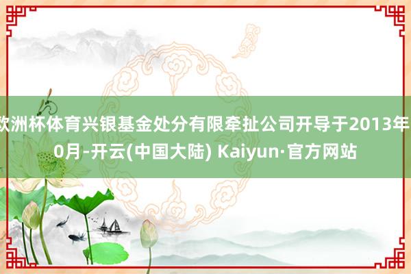 欧洲杯体育兴银基金处分有限牵扯公司开导于2013年10月-开云(中国大陆) Kaiyun·官方网站