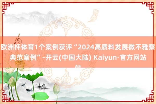欧洲杯体育1个案例获评“2024高质料发展微不雅察典范案例”-开云(中国大陆) Kaiyun·官方网站